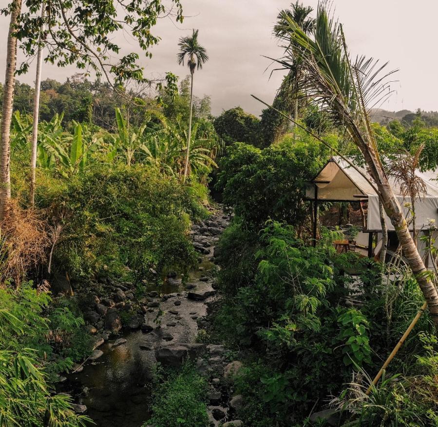 Camani Glamping Otel Karangasem Dış mekan fotoğraf