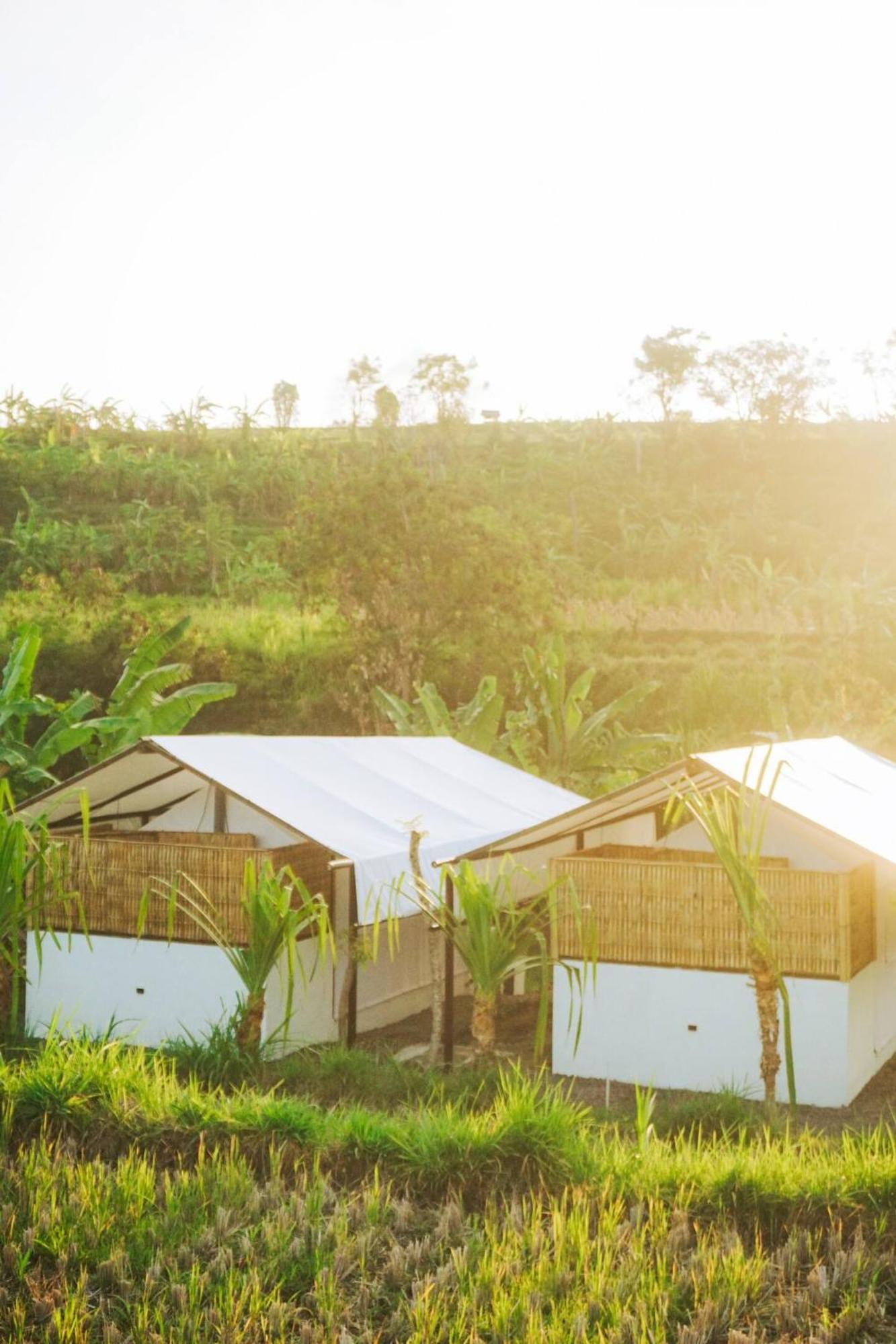 Camani Glamping Otel Karangasem Dış mekan fotoğraf