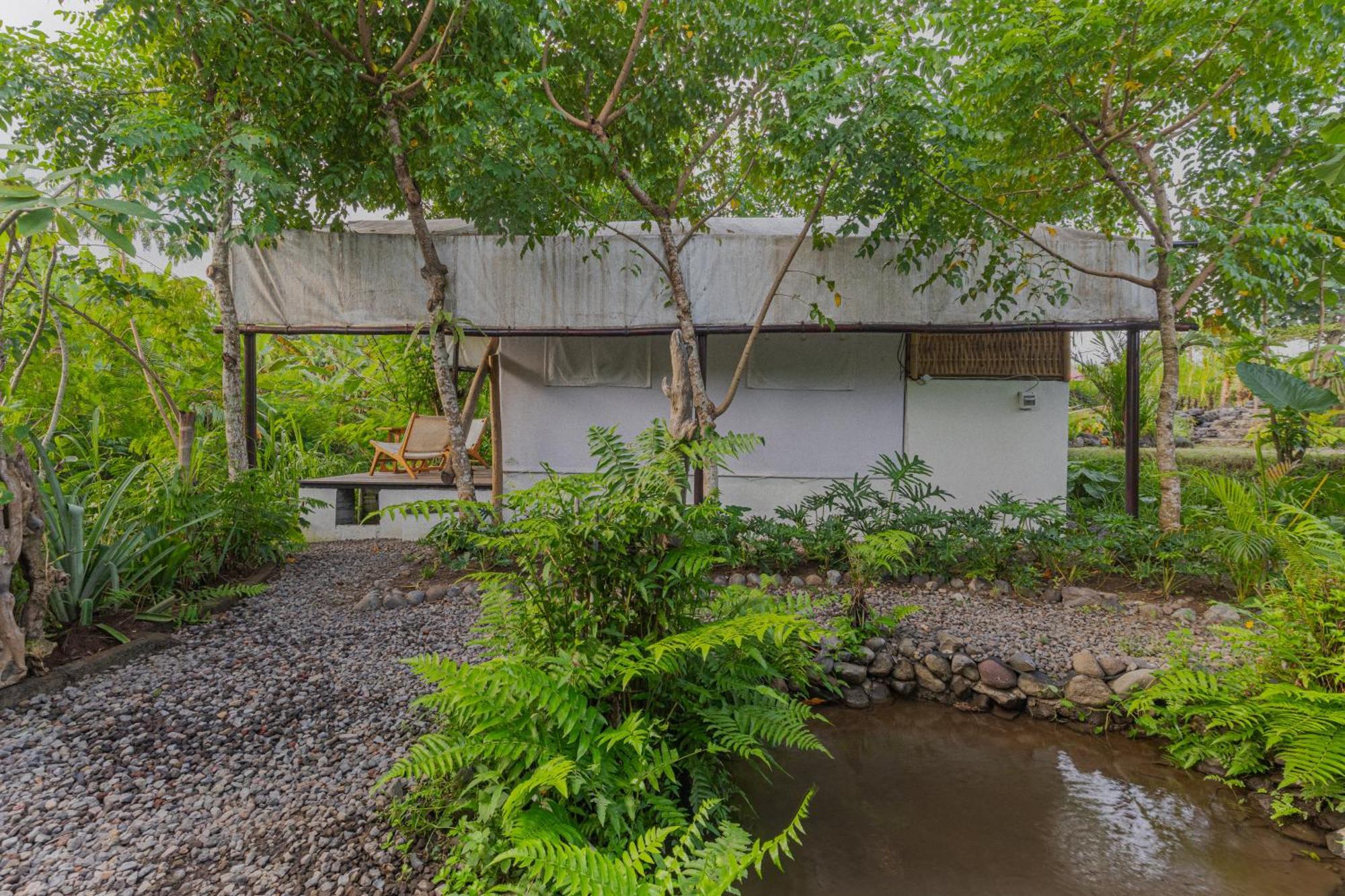 Camani Glamping Otel Karangasem Dış mekan fotoğraf