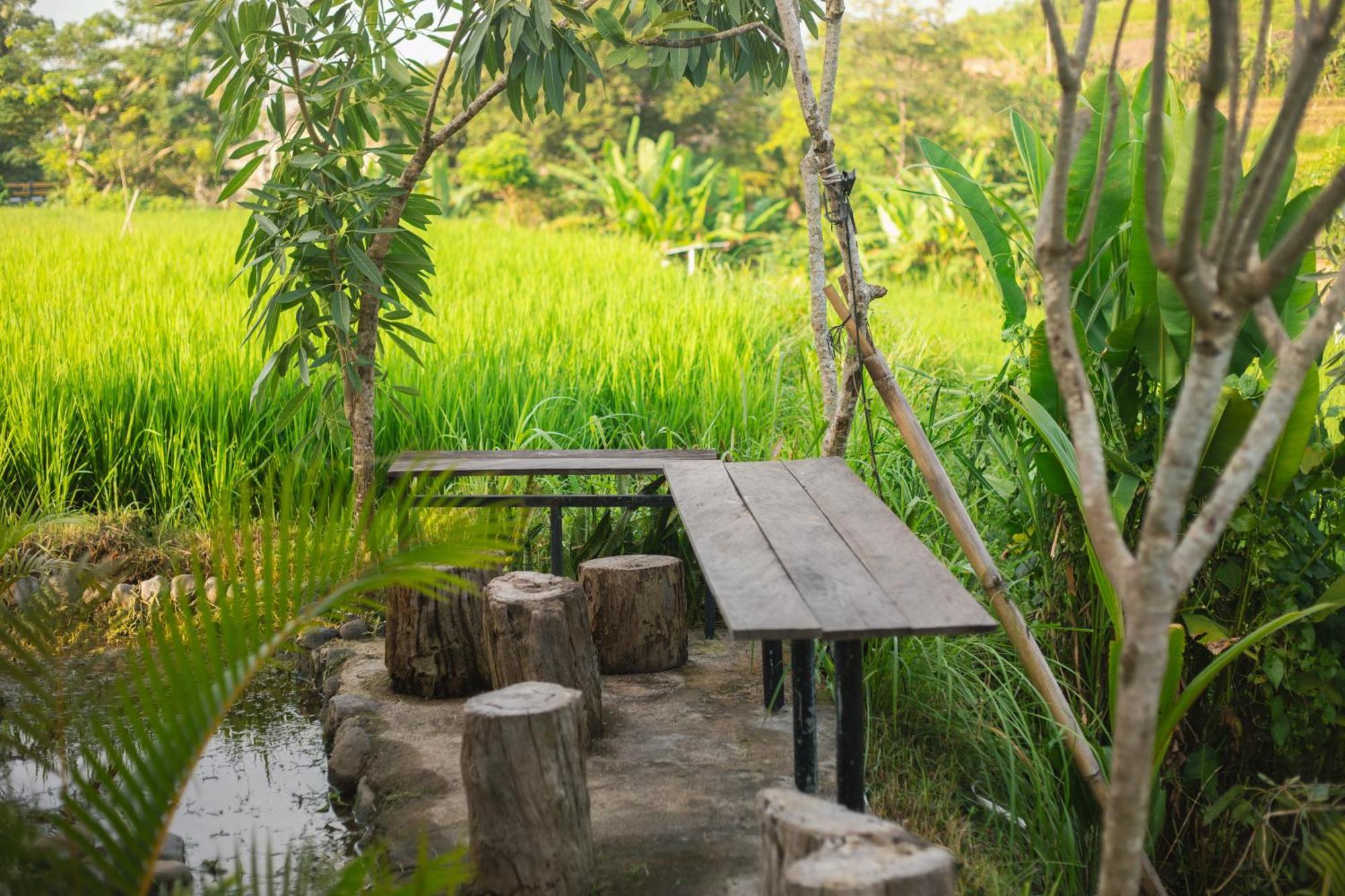Camani Glamping Otel Karangasem Dış mekan fotoğraf