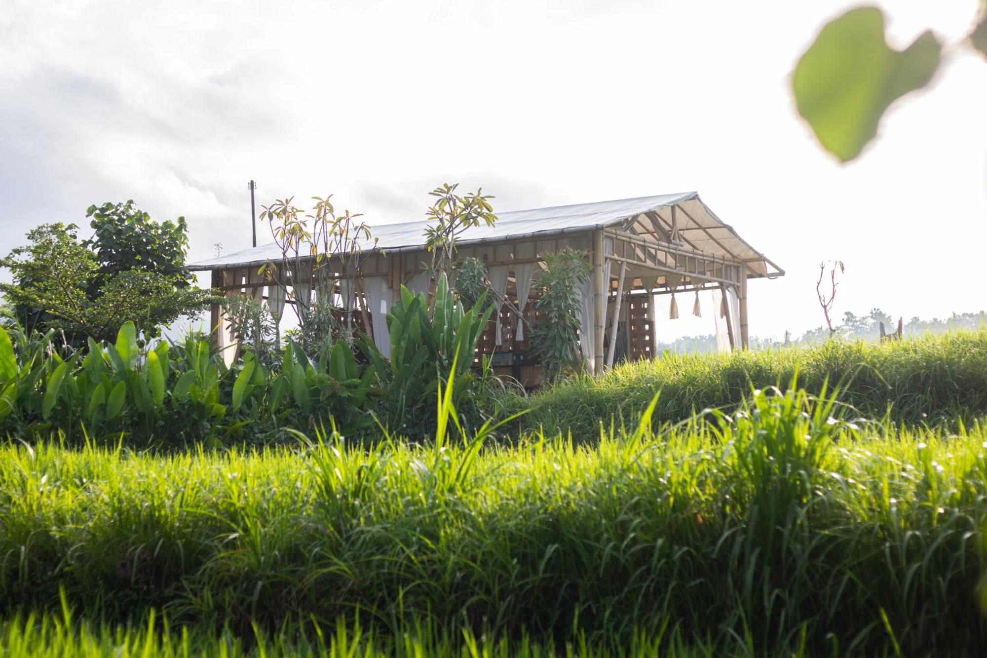 Camani Glamping Otel Karangasem Dış mekan fotoğraf