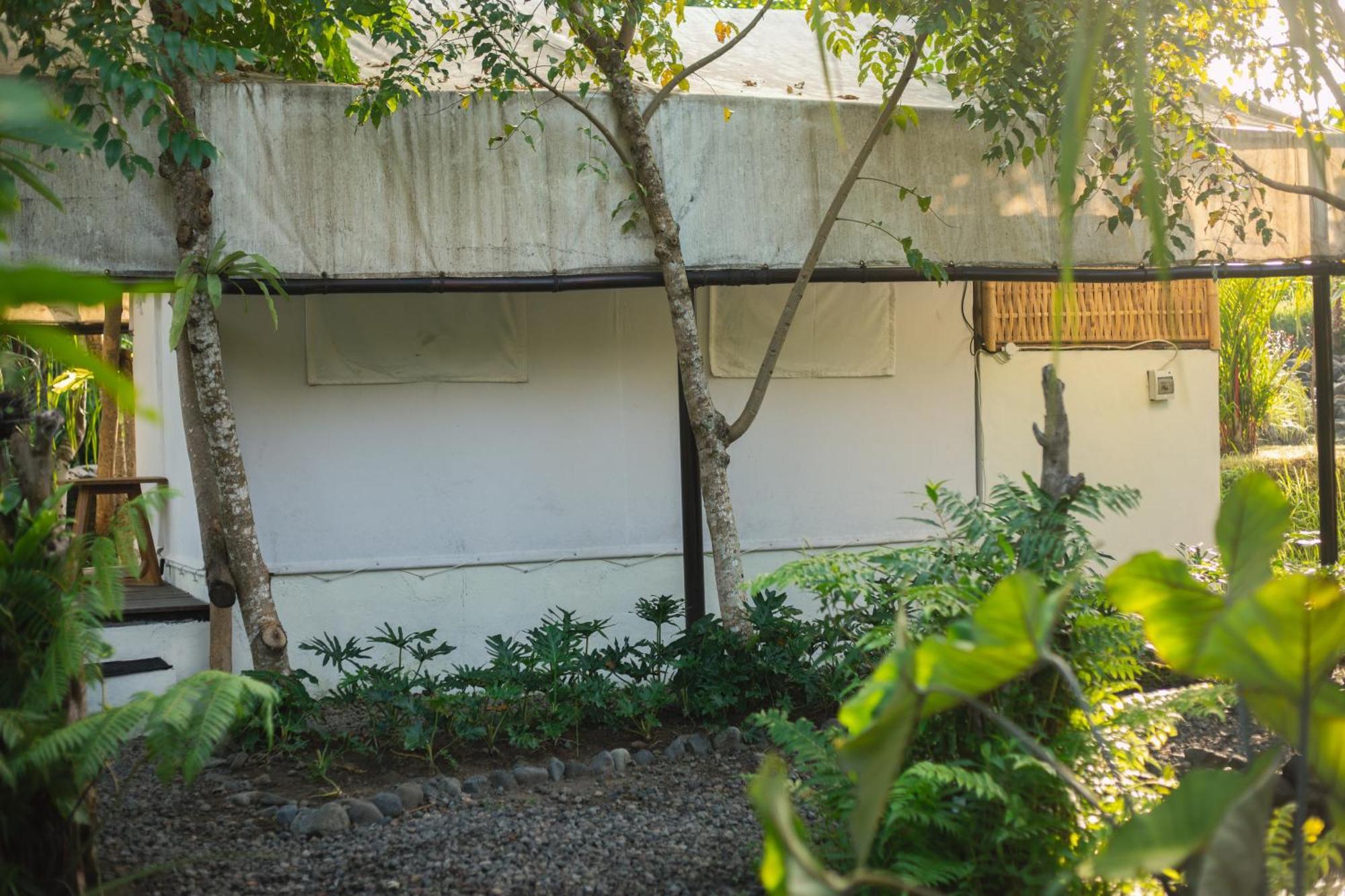 Camani Glamping Otel Karangasem Oda fotoğraf