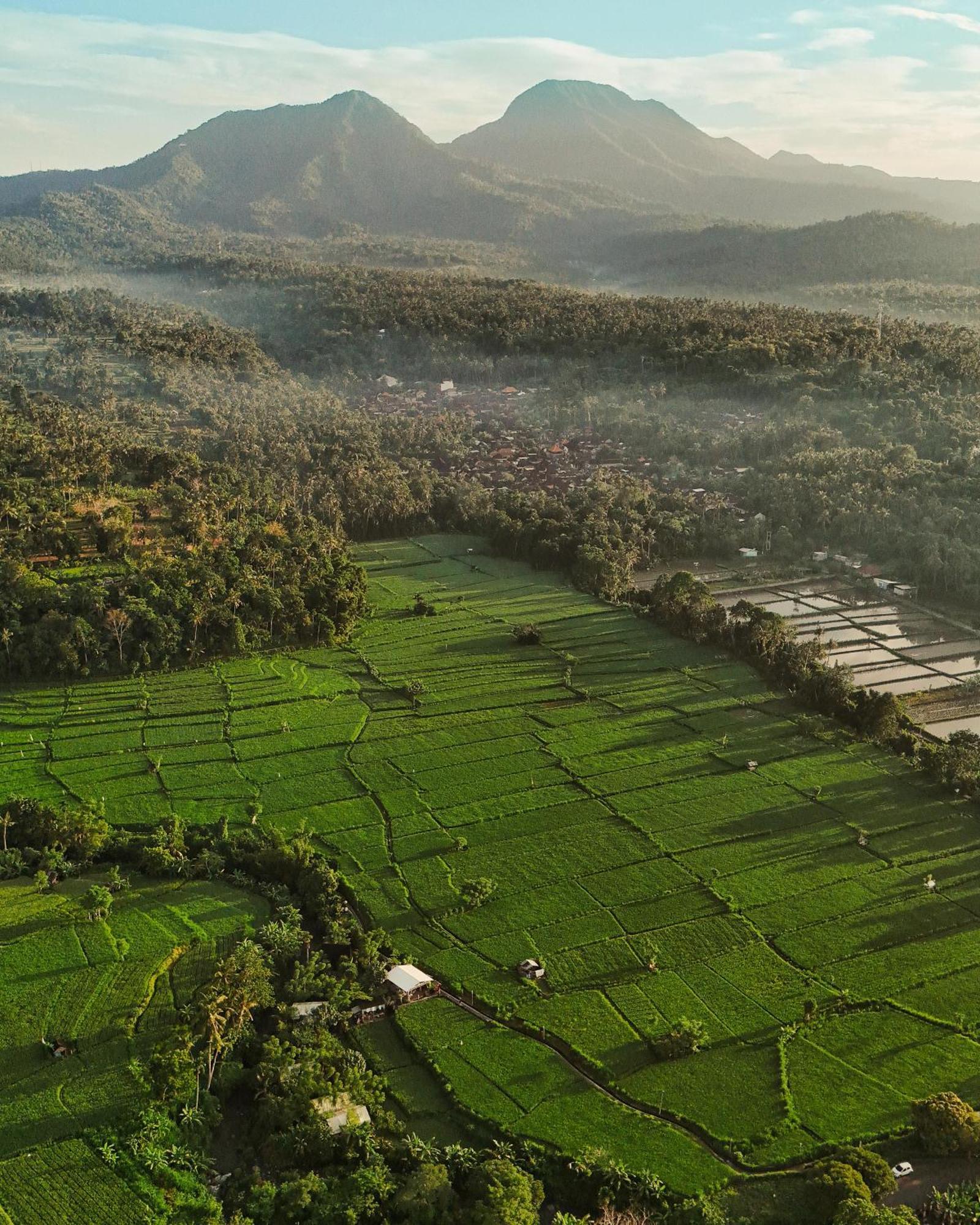 Camani Glamping Otel Karangasem Dış mekan fotoğraf
